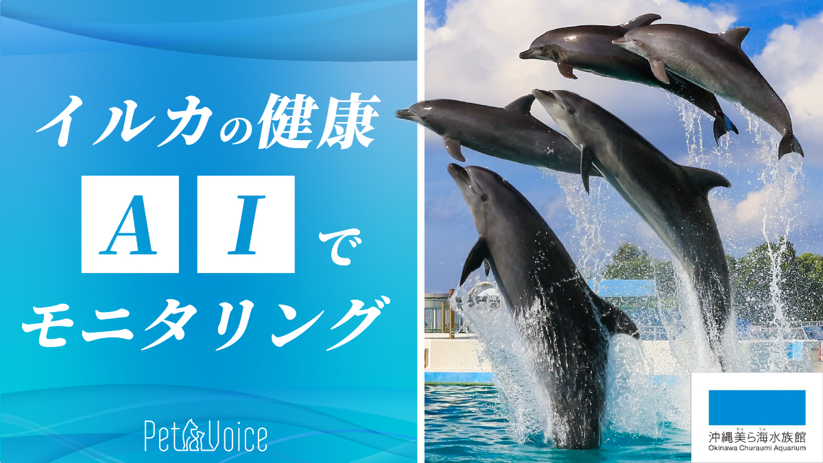 c8b84f9a946b050995606569e3ec190733afc24f49a1fe081839c8bea721400b