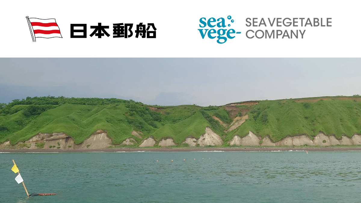 2a1b62a899f635a0dbf86000758dce624bba6e4fcd2dba145da7c5dbbe808eca