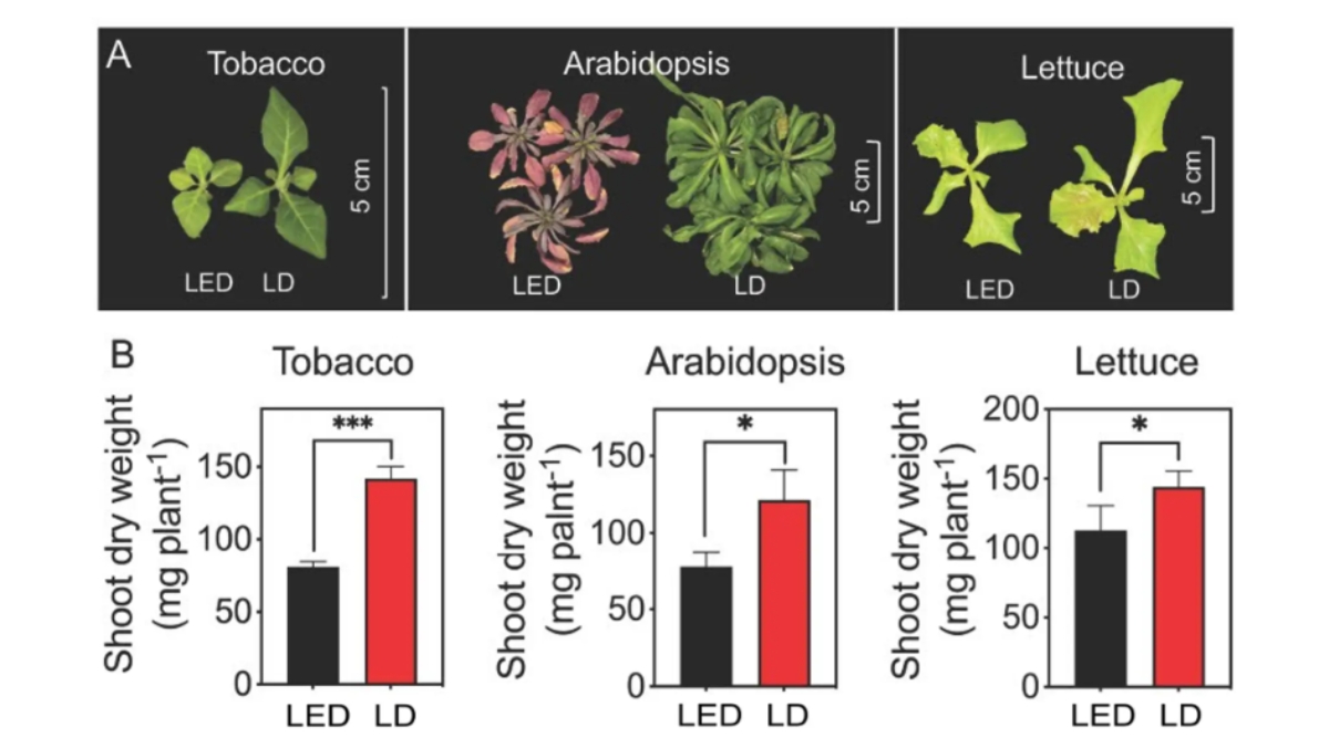8618875c2c46f8d96c6544cdea0f77e2dcb4eb251853a0ceb47eda53ebfcd89c
