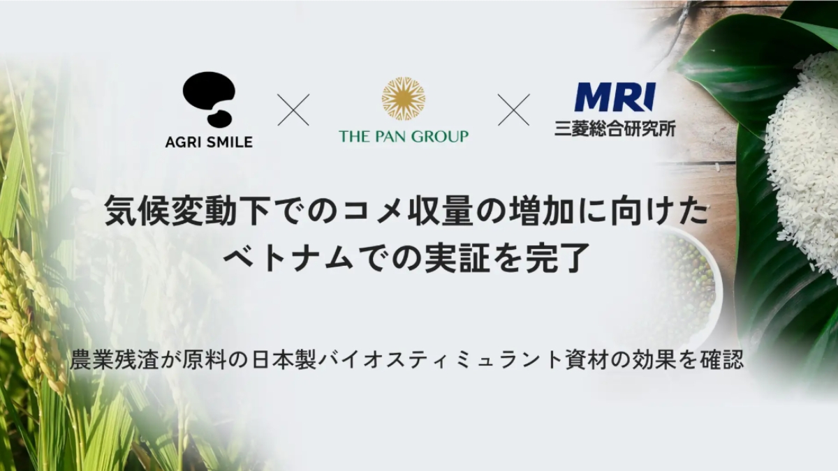 AGRI SMILE×三菱総合研究所×THE PAN GROUP JOINT STOCK COMPANYがベトナムでバイオスティミュラント活用のコメ増収実証を完了　農業残渣由来資材で収量43％増
