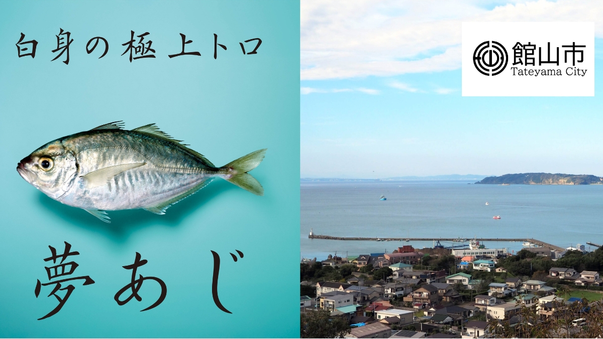 東京海洋大発スタートアップのさかなドリーム、世界初の養殖魚「夢あじ」を館山市ふるさと納税返礼品に出品
