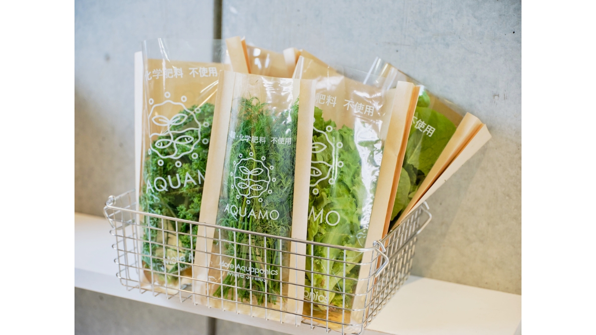 アクポニ、アクアポニックス野菜を販売へ――虎ノ門で食の実装拠点として生産者直営のサラダボウル専門店をオープン