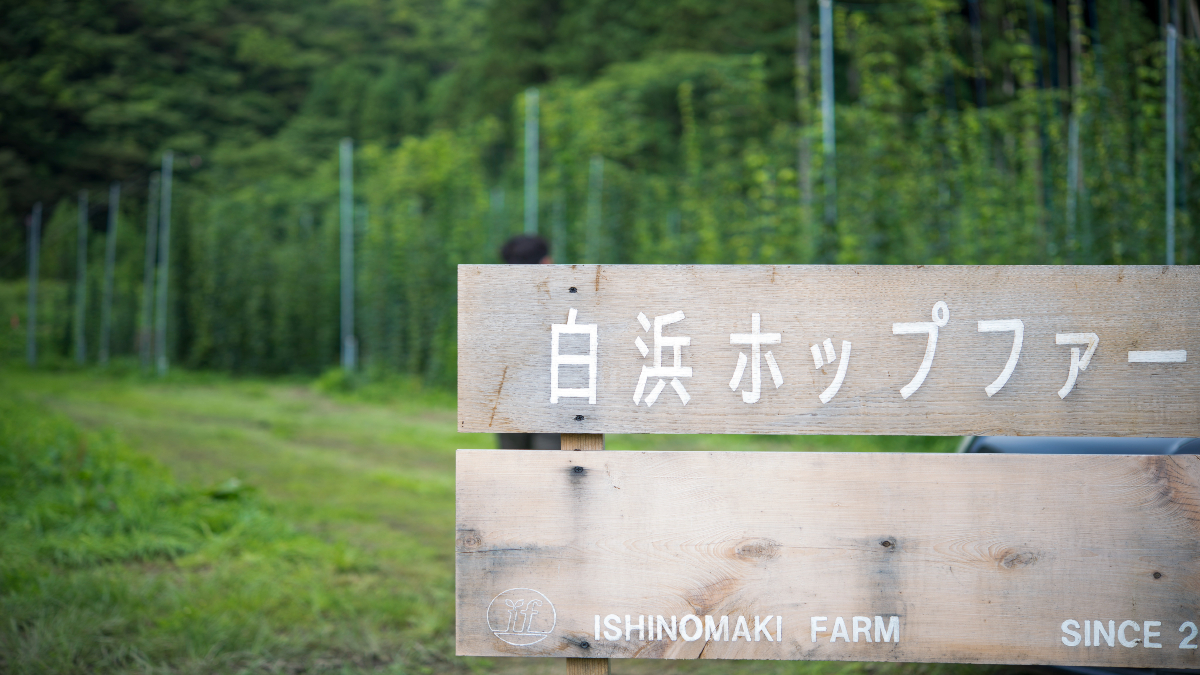 東北大学×東京農業大学×イーチ・アザーが共同研究を開始　石巻のホップ農園で「草生栽培」実証、人と自然が共生する地域モデル構築へ 