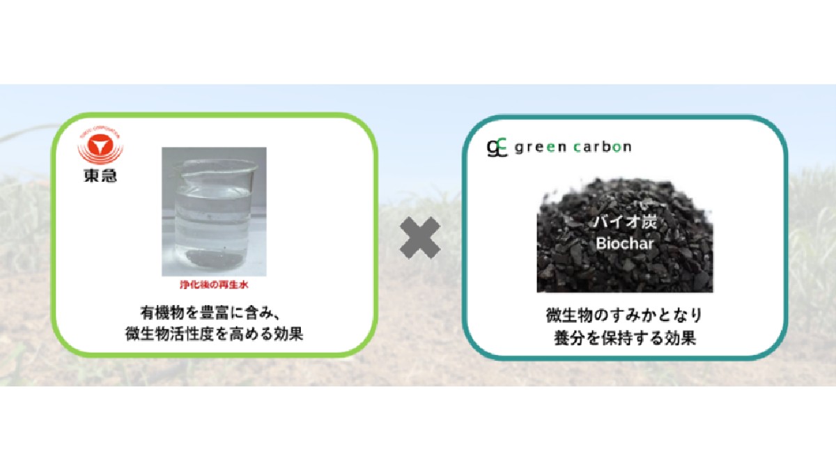 東急×Green Carbon、宮古島熱帯果樹園の排水を浄化した再生水を活用し「水循環×炭素循環」を実現する地域循環型農業エコシステムの実証開始