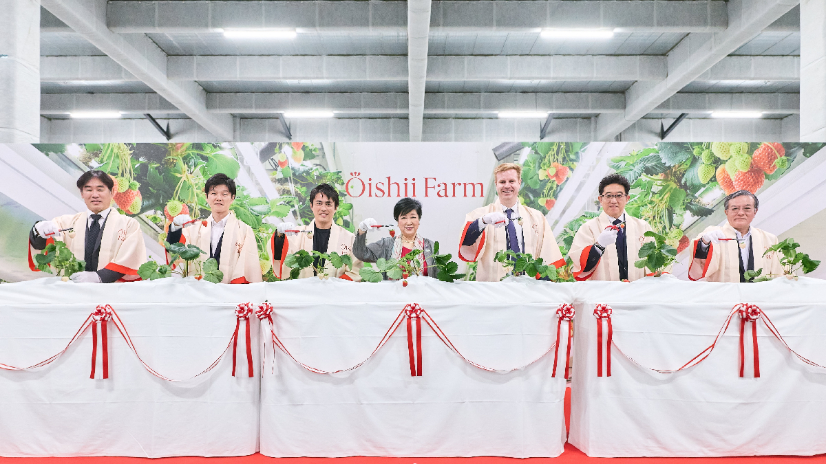 Oishii Farmが東京・羽村に新拠点を開所 官民学の共創で「日本発・100兆円規模の食のグローバル産業」を目指す