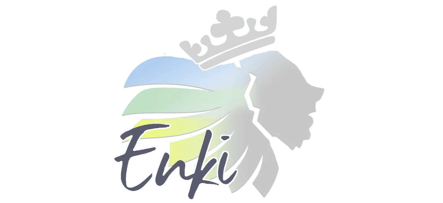 株式会社エンキのオープンイノベーション情報 日本最大級のオープンイノベーションプラットフォーム