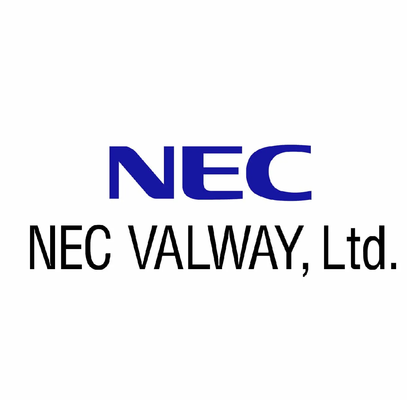 NECVALWAY株式会社　事業戦略G