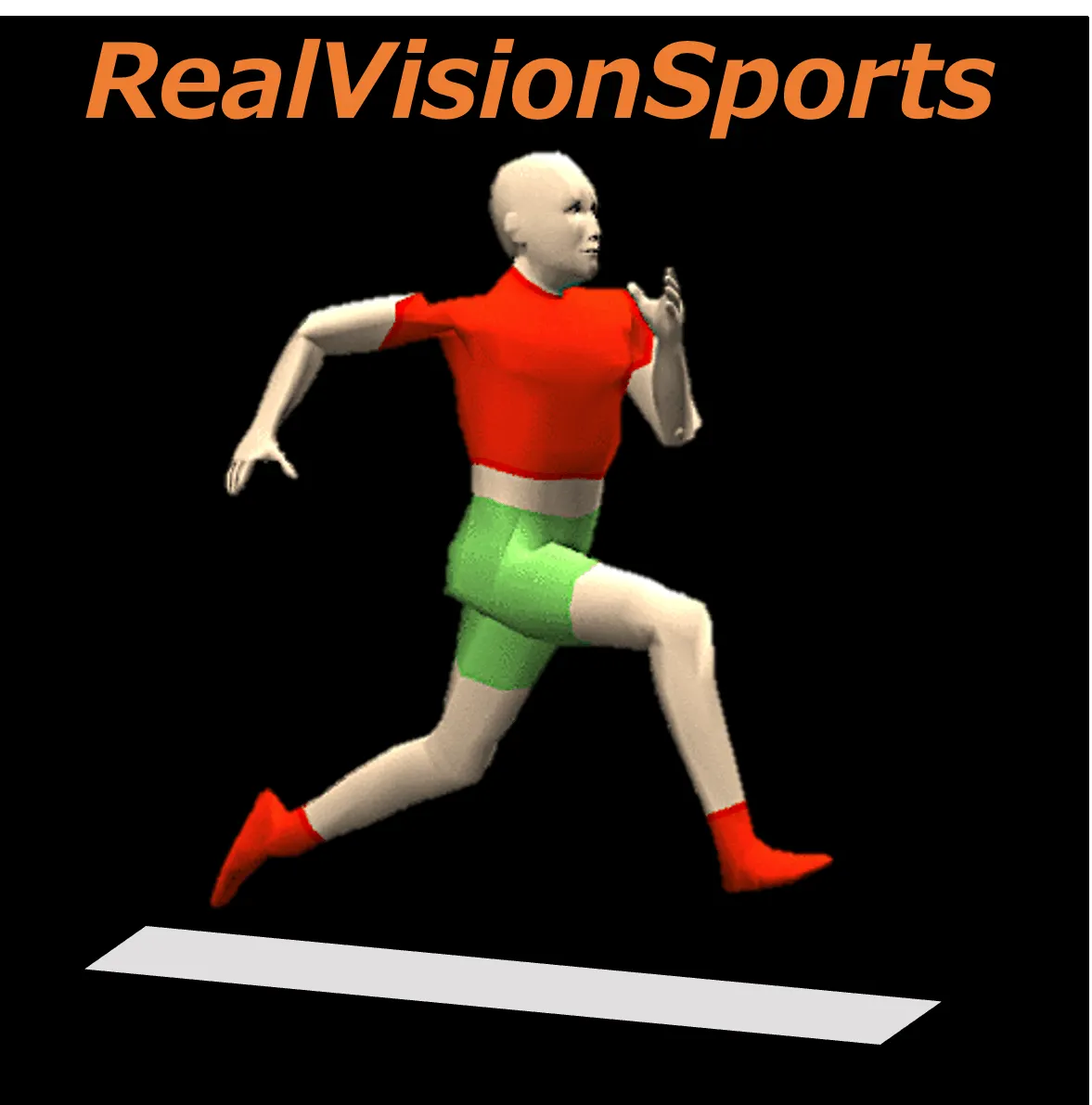 リアルビジョンスポーツ株式会社