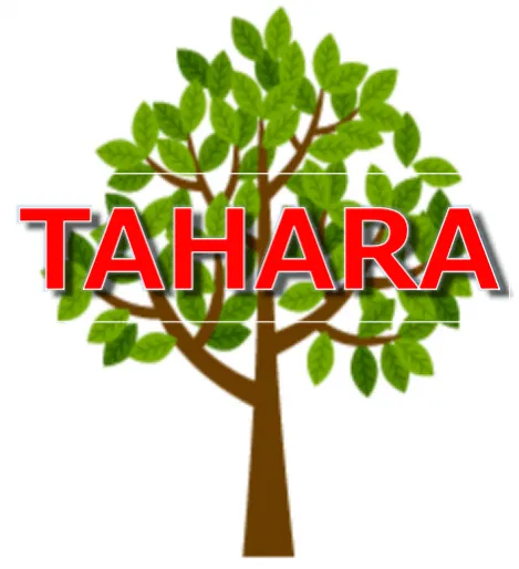 合同会社TAHARA