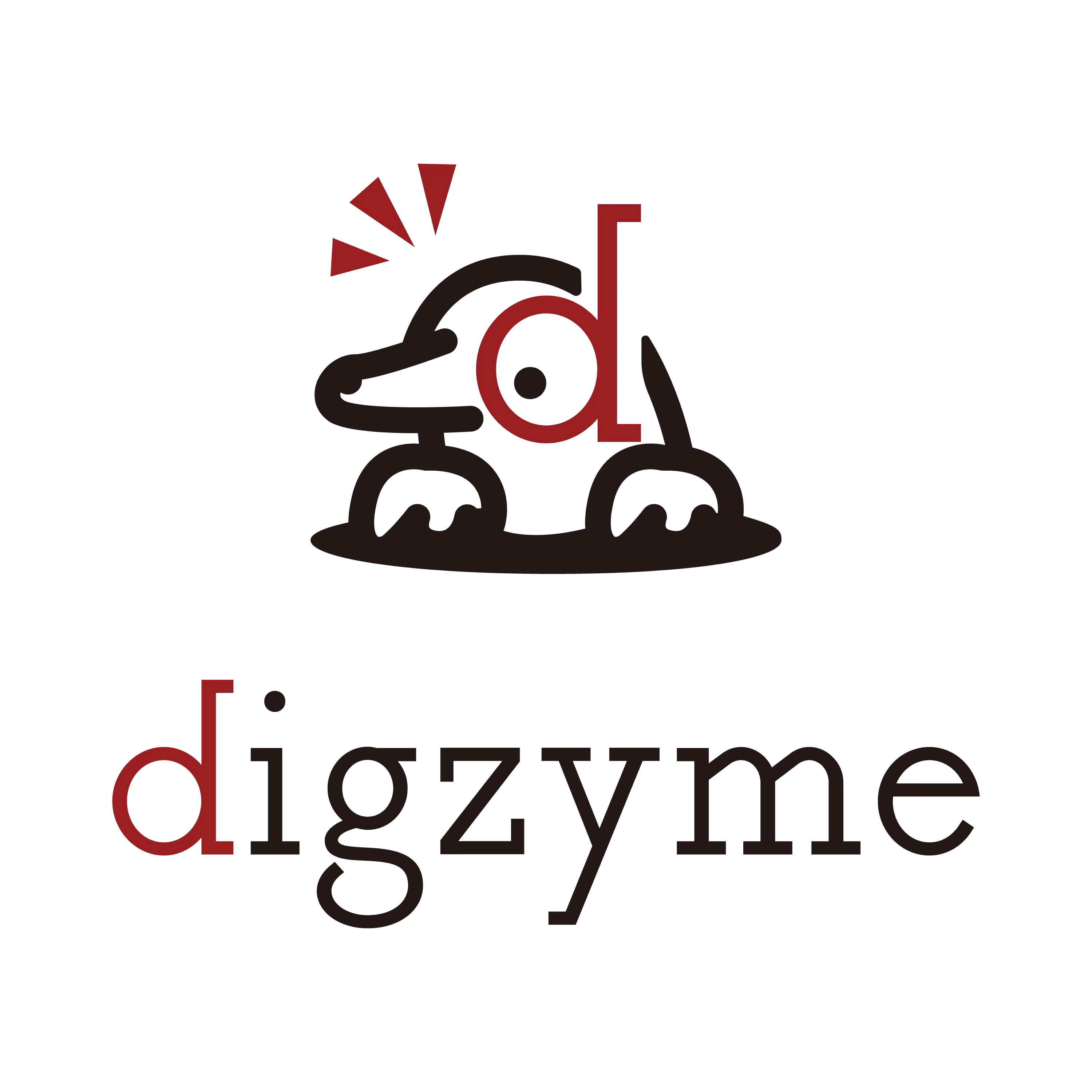 株式会社digzyme