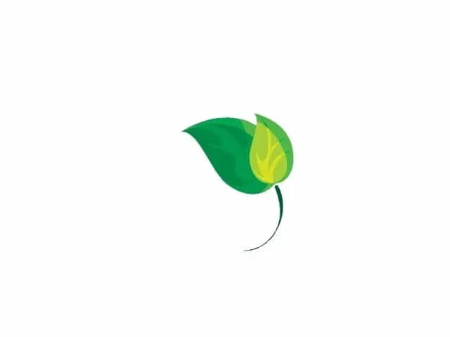 食品衛生ビジネス・コンサルティング株式会社