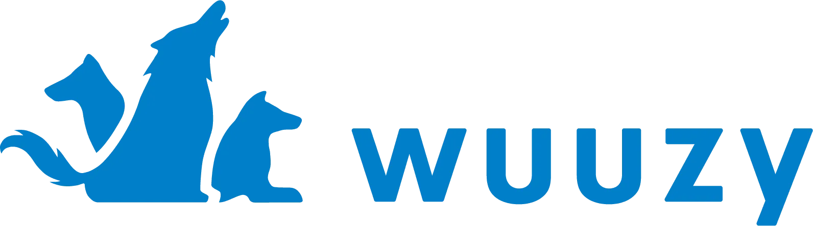 株式会社wuuzy