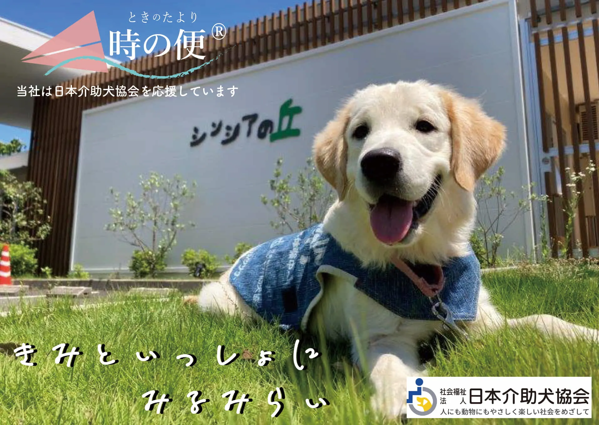 株式会社ヒューマンネットワーク