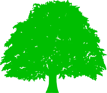 株式会社Zelkova