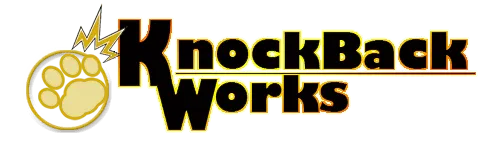 株式会社ノックバックワークス