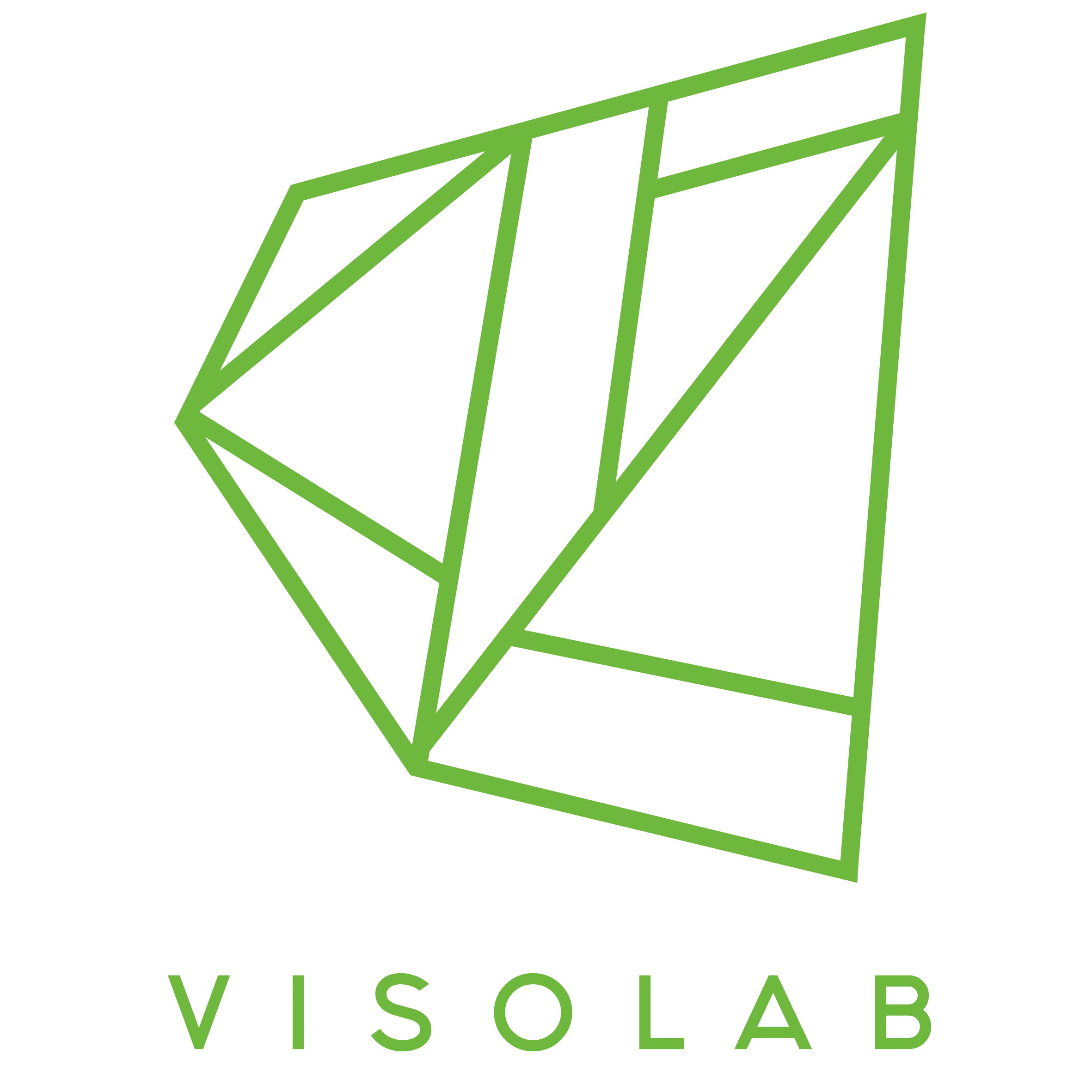 Visolab株式会社