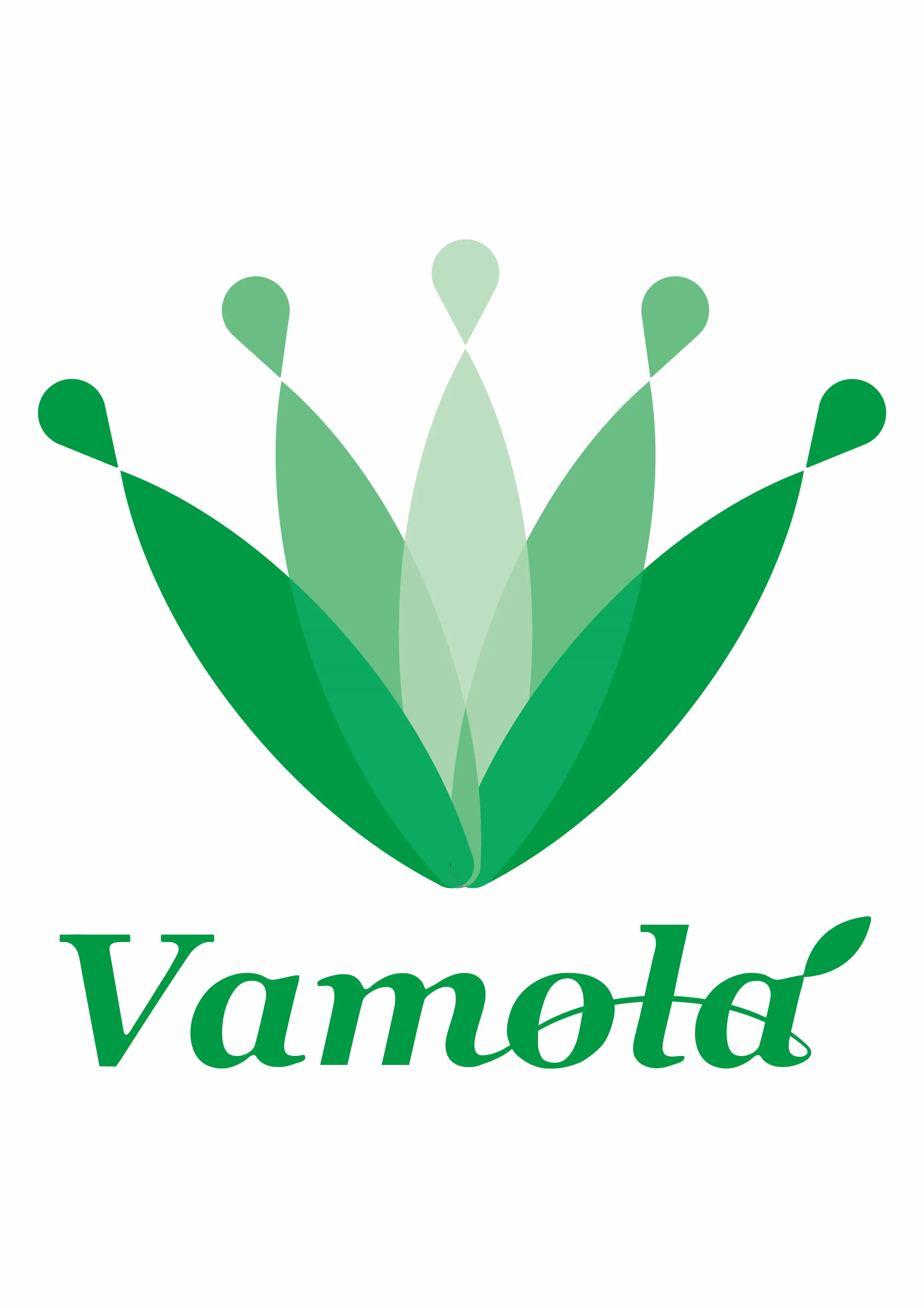 株式会社Vamola