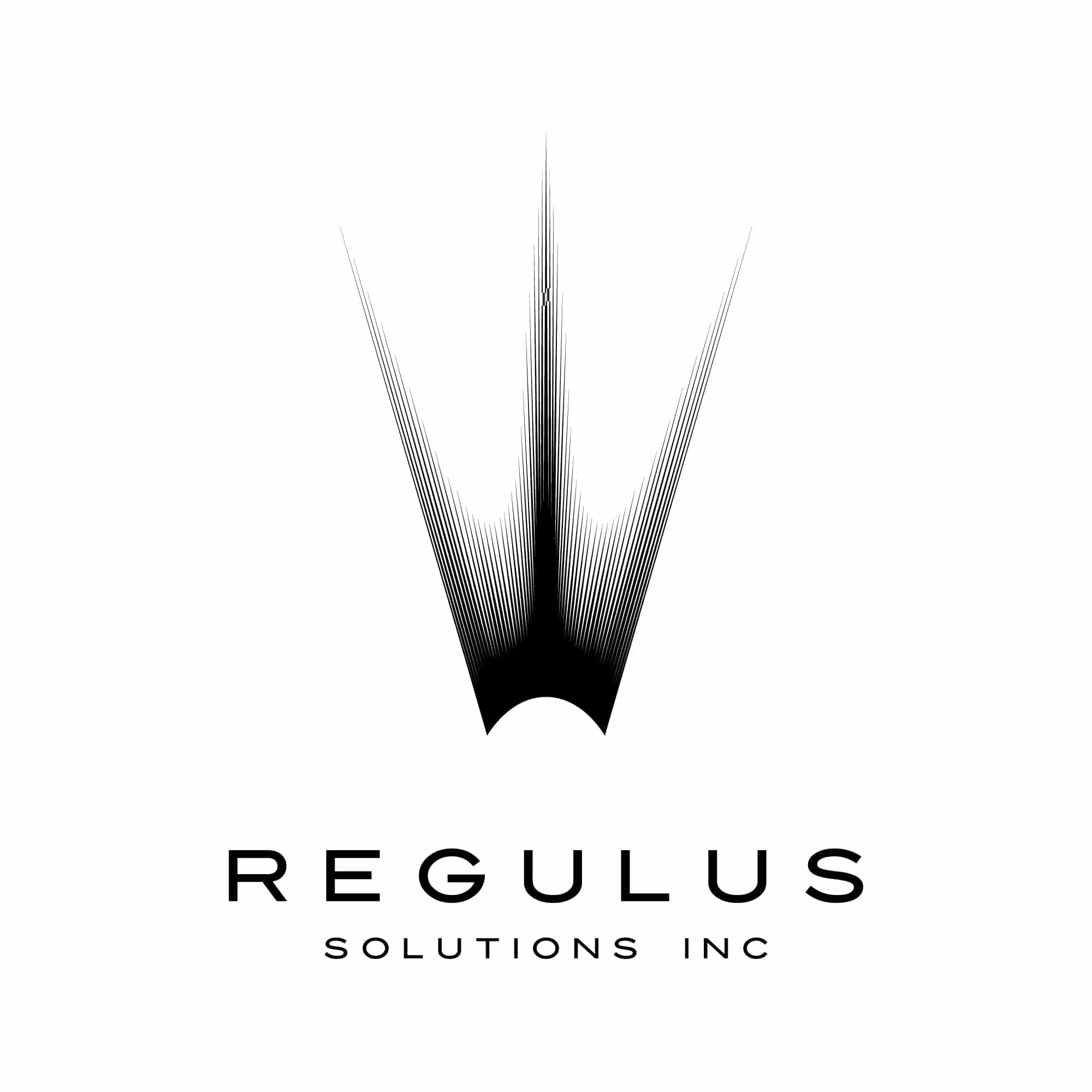レギュラス・ソリューションズ株式会社