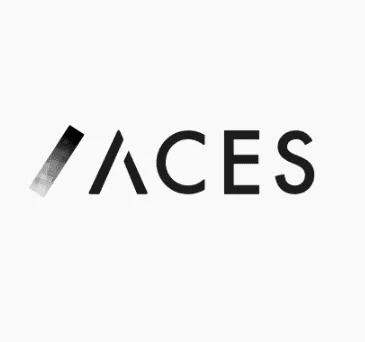 株式会社ACES