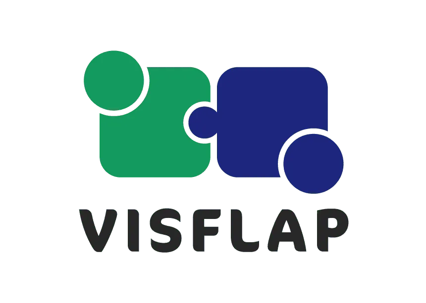 合同会社VISFLAP