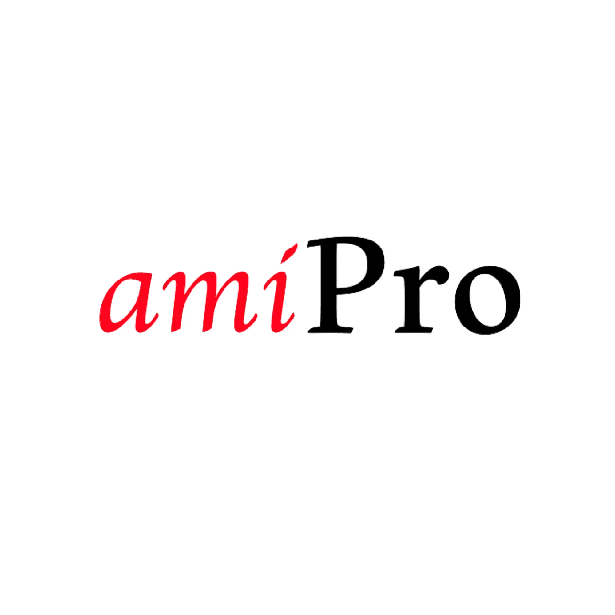 amiPro合同会社