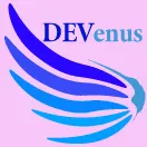 有限会社DEVenus