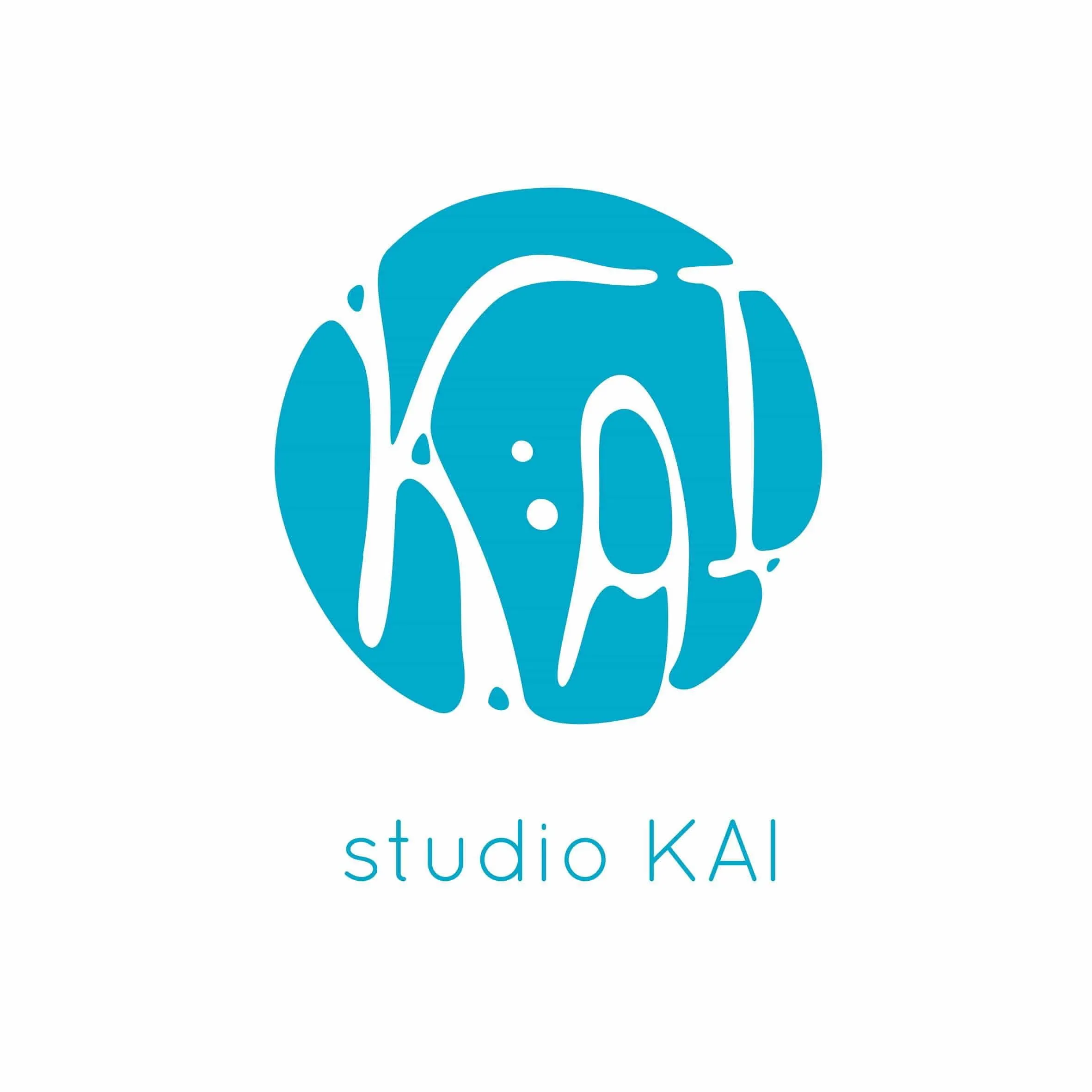 合同会社studioKAI
