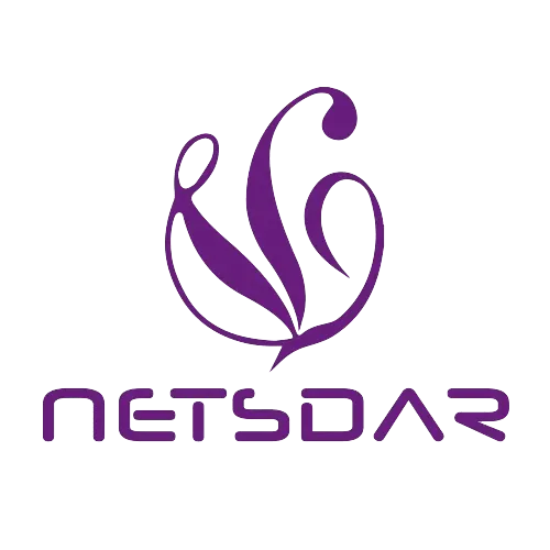 NetsdarRobotSolutions株式会社