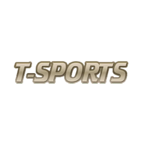 株式会社ティースポーツ