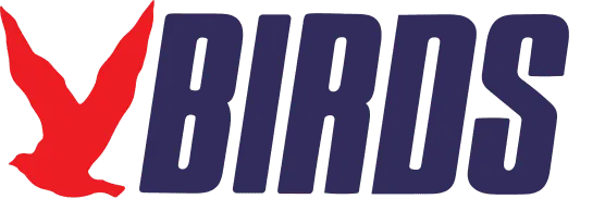 株式会社バーズ情報科学研究所