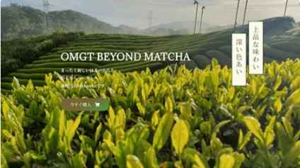 OMGT BEYOND MATCHA ランディングページ| WordPress