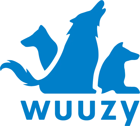 株式会社wuuzy