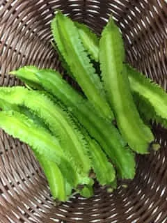 四角豆