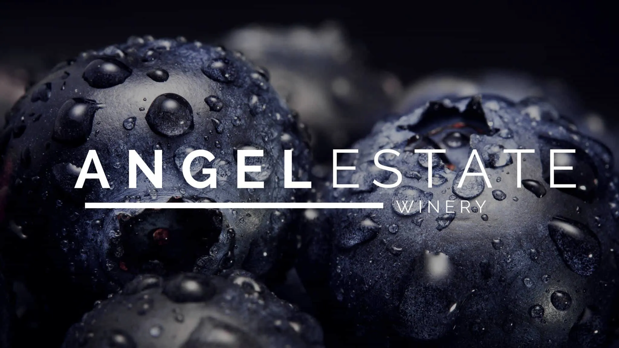 ANGEL IMPORT&EXPORT ENTERPRISES株式会社