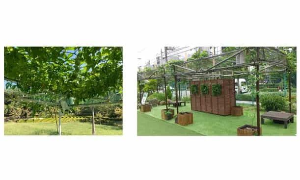 【FA×農業×建設】IoT緑化シェードの共創事例（鈴田峠農園社・青木あすなろ社）