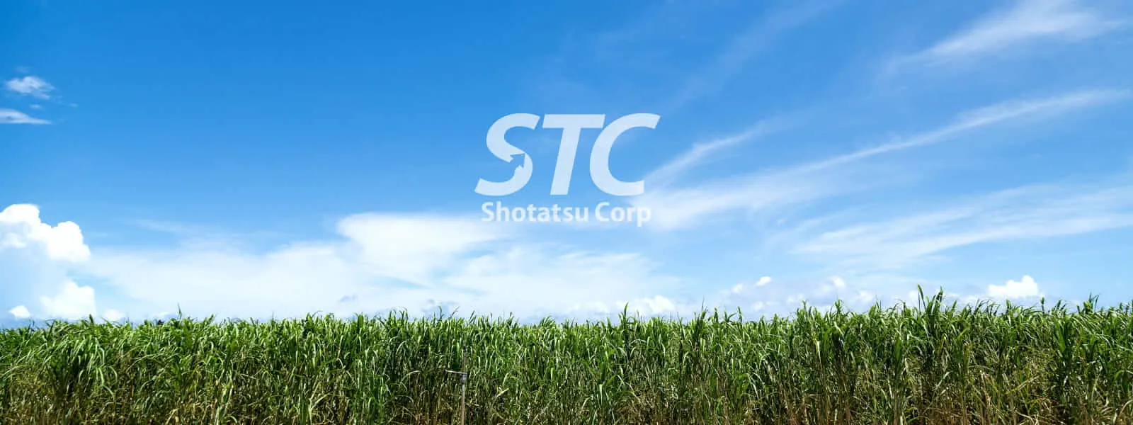 コロナ禍における加工費の削減に致します。
事業拡大に伴う輸入・加工事業のパートナー様募集してます。
