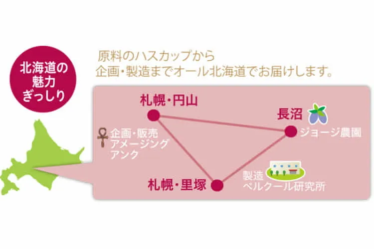 原料となるハスカップは、北海道長沼町の農家、ジョージ農園さんにご提供を頂き、製造工場は、札幌市のベルクール研究所にお願いをしています。