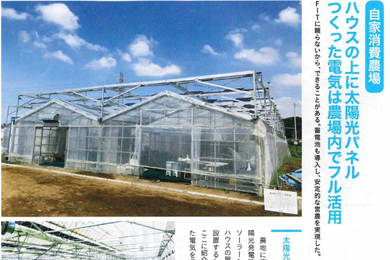 自家消費型営農型発電設備。