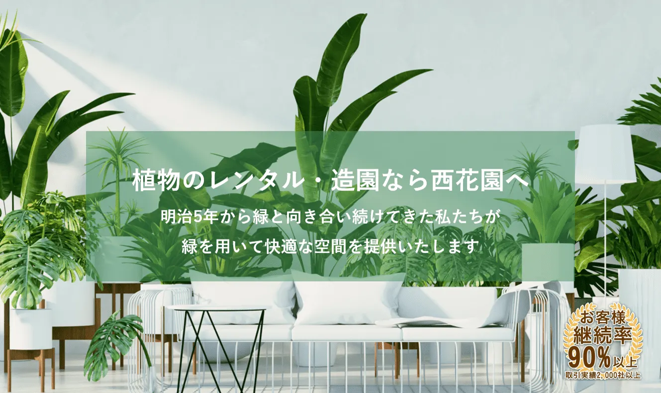 ≪”緑"を身近に感じられる空間を≫100年以上培ってきた植物のノウハウを活かし、オフィス緑化やバイオフィリックデザインなどオフィスや商業施設に植物を設置することで、より豊かなで快適な空間を創造します！