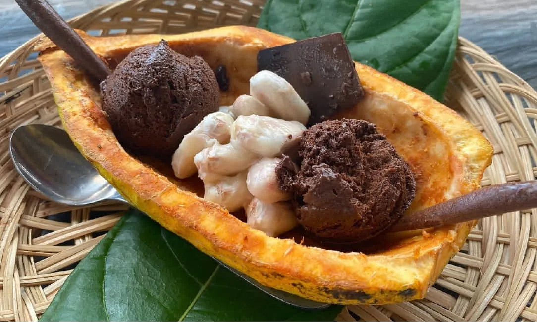 生のカカオの実を使った現地カフェで提供するアイスクリーム