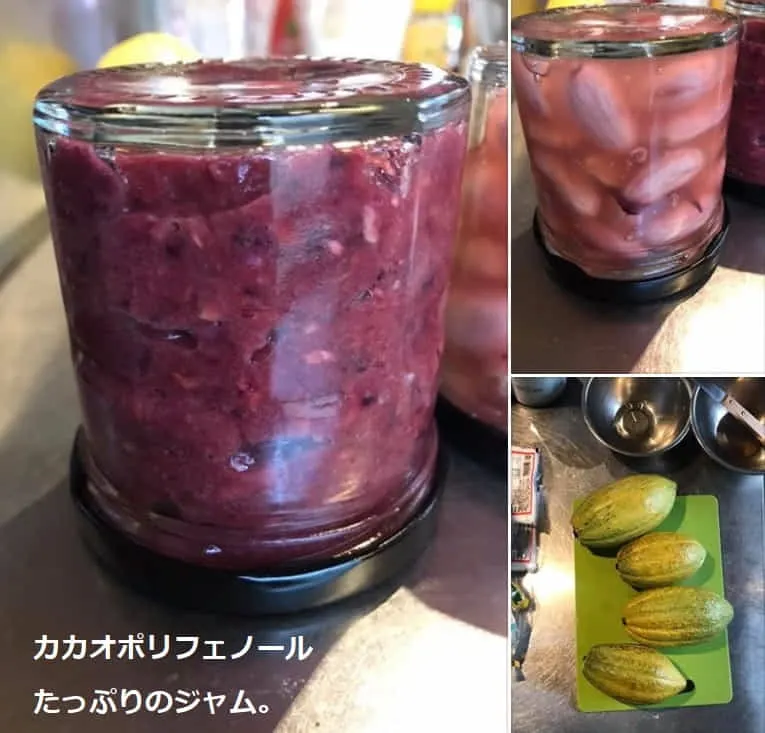 カカオ豆本来の色。チョコレート色ではありません。