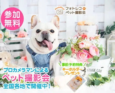 ペット撮影会