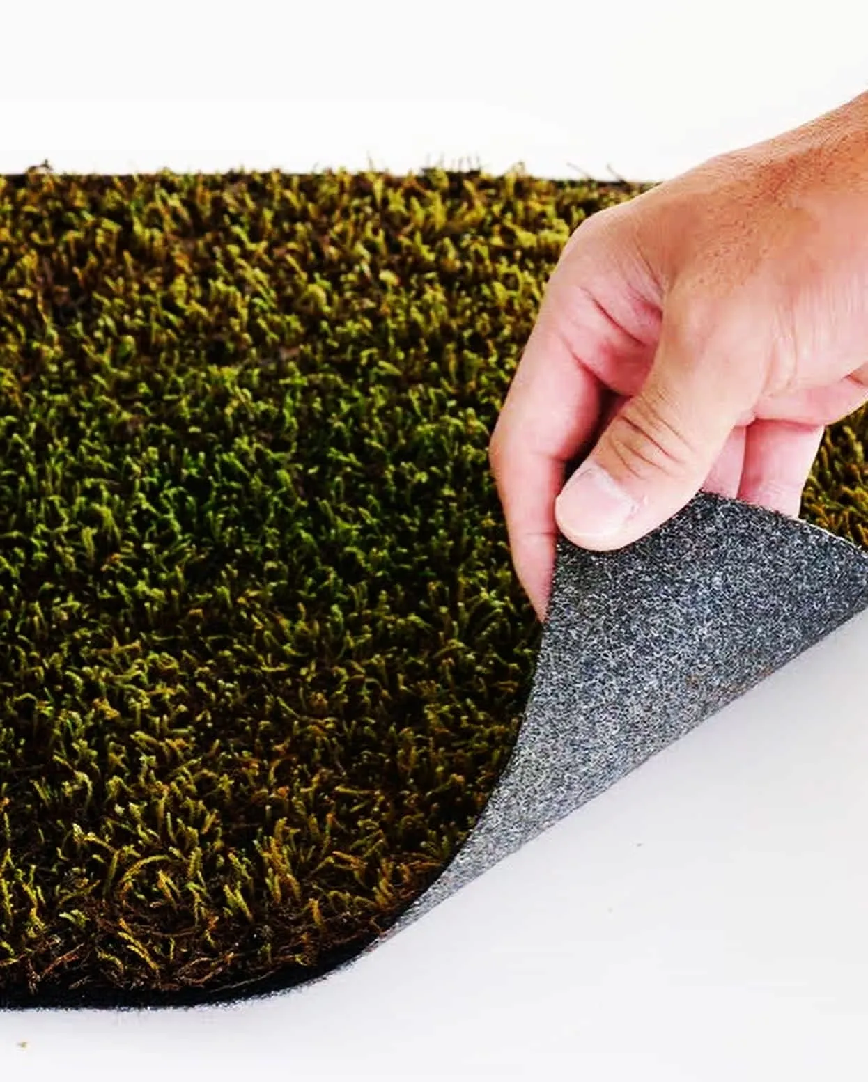 汎用性の高い用途を追究し不織布シート上に苔を栽培した「スナゴケシート」を開発。