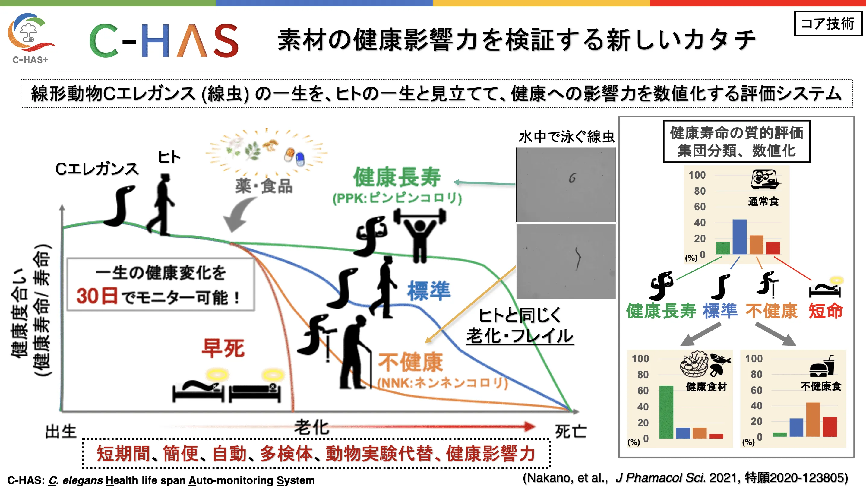 Cエレガンス (線虫) の一生を、ヒトの一生と見立てて、健康への影響力を数値化する評価システム 