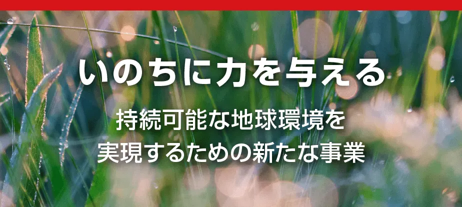 持続可能な地球環境を実現するための新たな事業　領域例　Green、エネルギー、素材等