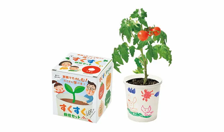 幼稚園・保育園での食育にご利用いただける室内栽培キット