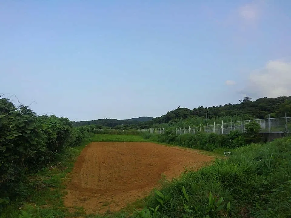 耕作放棄地/回復アクション（after)