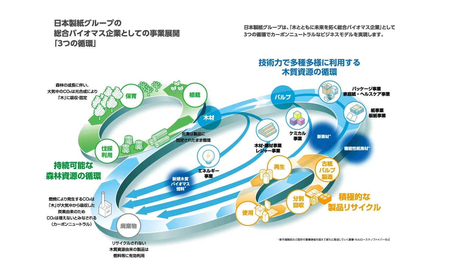 木質資源の特性を生かした「3つの循環」