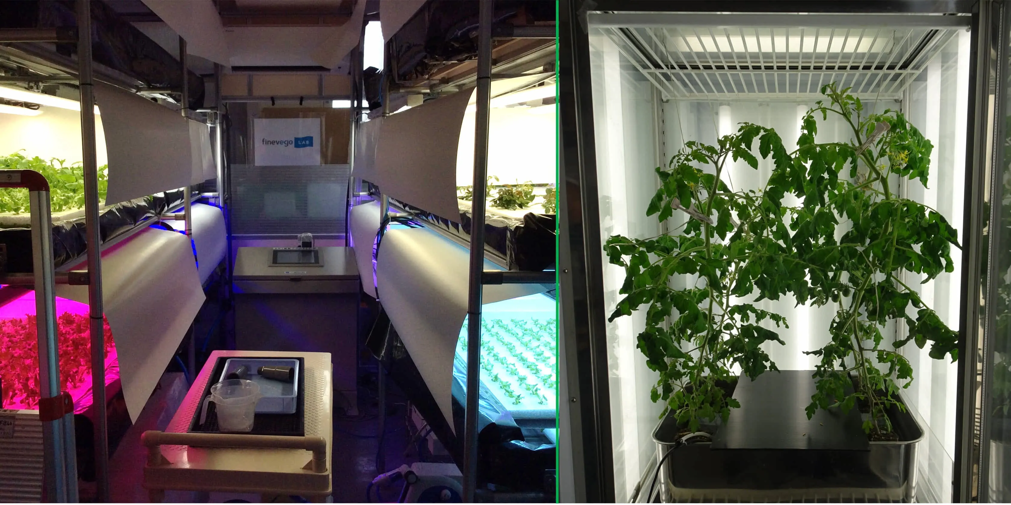 植物を対象とした新たな事業、技術構築を指向されるシーンが増えてきています（農業や環境・・・）。当社の「植物の栽培環境構築や植物自体の把握」を得意とする部分を組み合わせて、貴社・貴機関の「植物を○○したい！」を実現していきましょう！