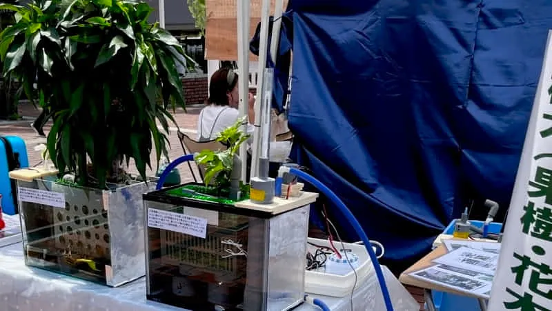 プレゼンでは水槽を容器に!